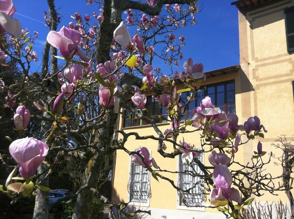 Ape Rosa Relais Alojamento de Acomodação e Pequeno-almoço Florença